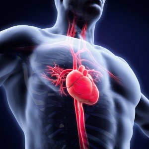 What You Need To Know About Heart Disease And Misdiagnosis